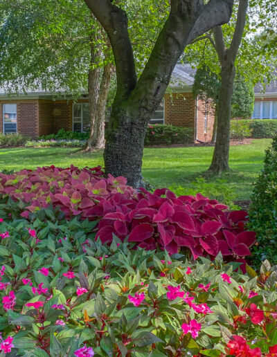 Landscaped Garden